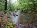 DSCN1307