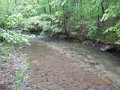 DSCN1309
