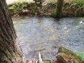 DSCN1324