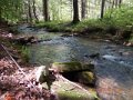 DSCN1329