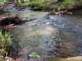 DSCN1331