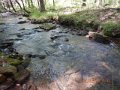 DSCN1333