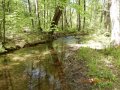 DSCN1347