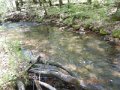 DSCN1353