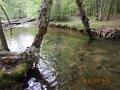 DSCN1366
