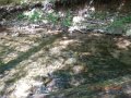 DSCN1374