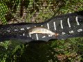 DSCN1377