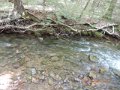 DSCN1385