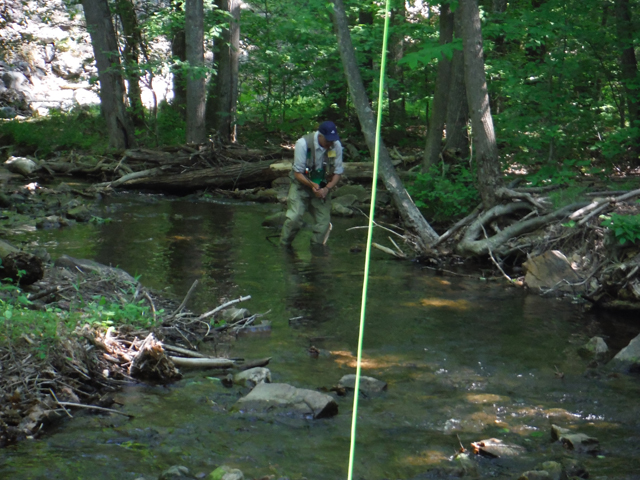 DSCF9386.jpg - Yours truly trying to get a trout that dashed under a log.  This time the fish won.