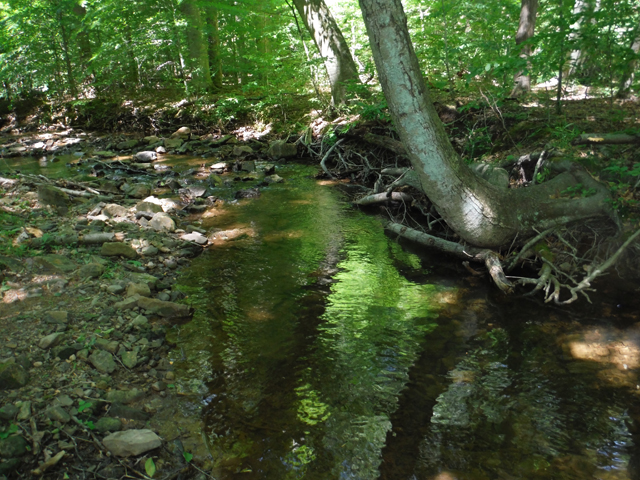DSCF9393.jpg - These deeper pools and the faster runs held most of the fish.