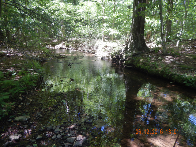 DSCN1461.jpg -                               Beautiful small creek. 