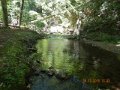 DSCN1463