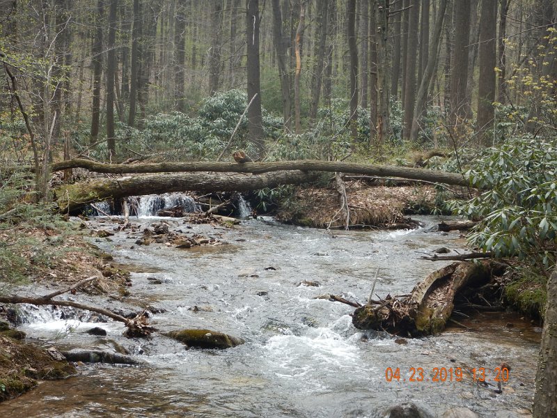 $FowlersHollowStatePark005$.jpg - Missed a couple here....as I did most everywhere I fished.  I'm really good at getting the fish to hit the fly and then having the fish jump off the hook.