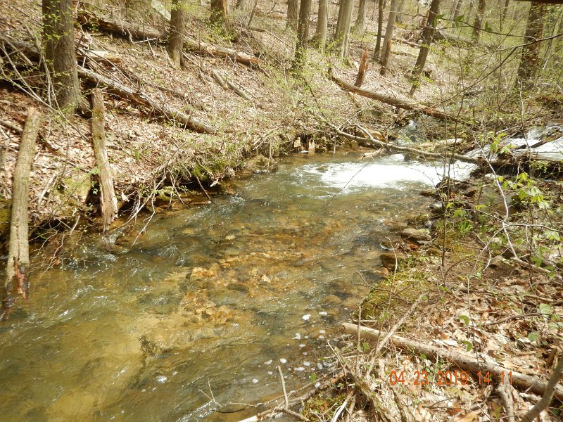 $FowlersHollowStatePark007$.jpg