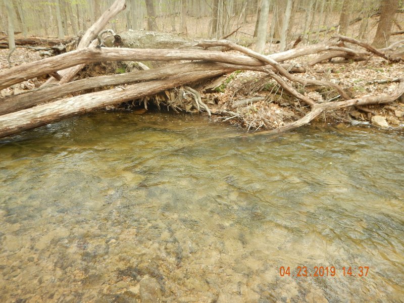 $FowlersHollowStatePark010$.jpg
