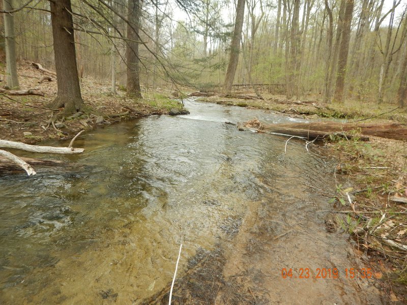 $FowlersHollowStatePark024$.jpg