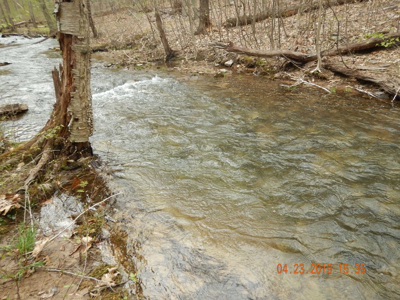 $FowlersHollowStatePark025$.jpg