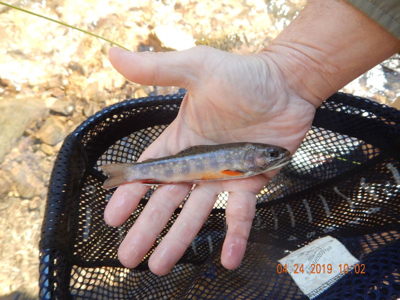 $FowlersHollowStatePark035$.jpg