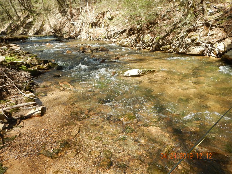 $FowlersHollowStatePark049$.jpg