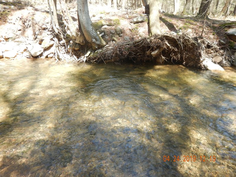 $FowlersHollowStatePark051$.jpg