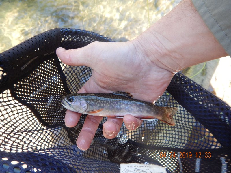 $FowlersHollowStatePark052$.jpg