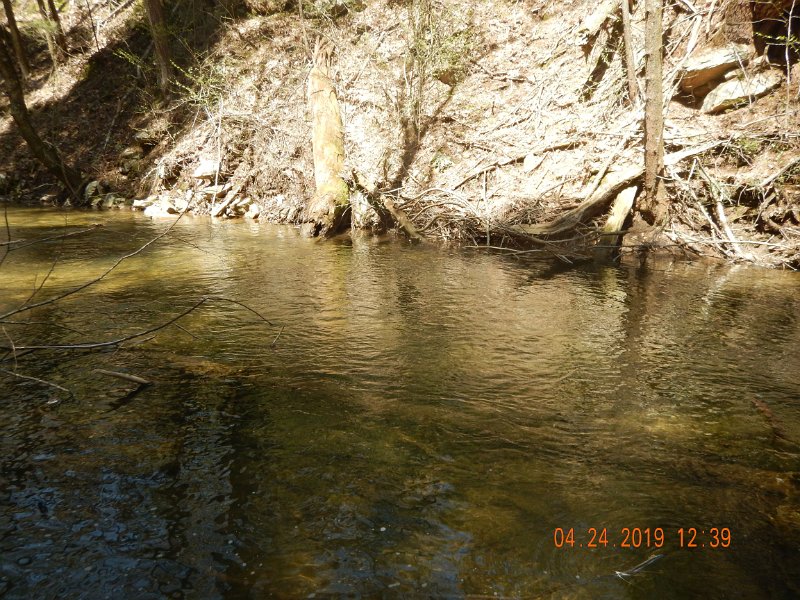 $FowlersHollowStatePark055$.jpg