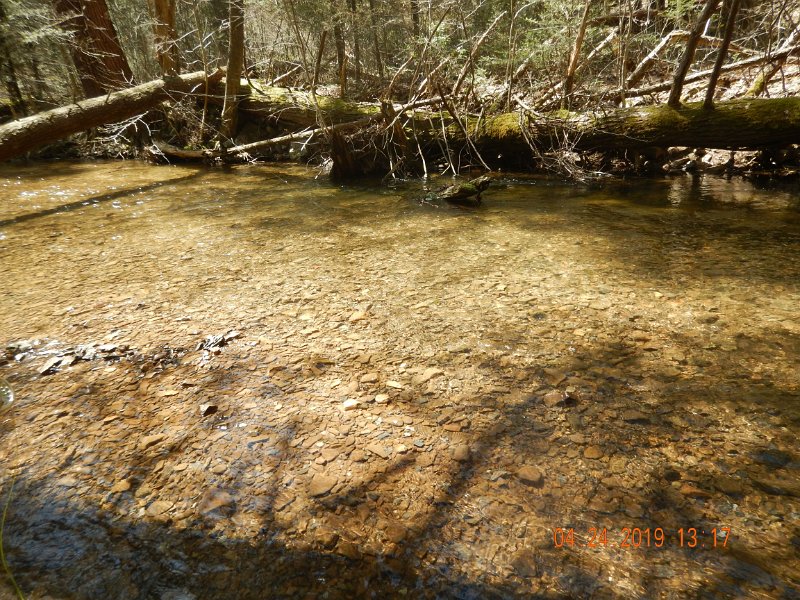 $FowlersHollowStatePark057$.jpg