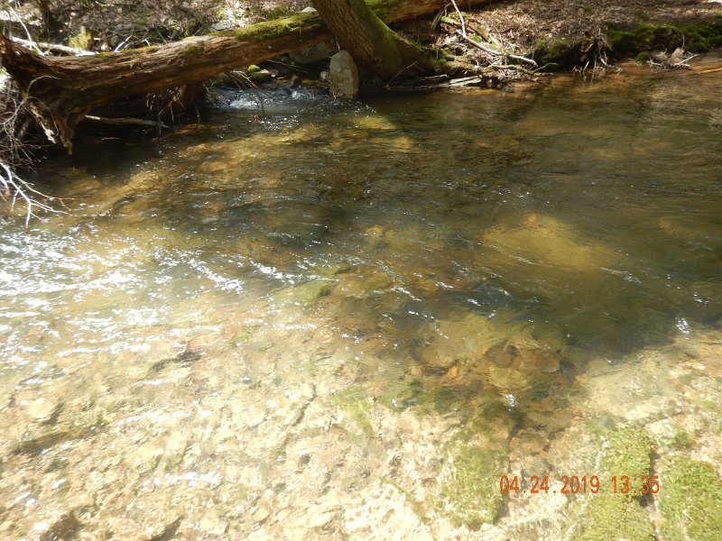 $FowlersHollowStatePark060$.jpg