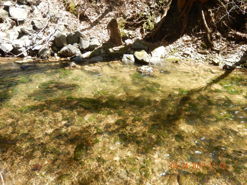 $FowlersHollowStatePark063$.jpg