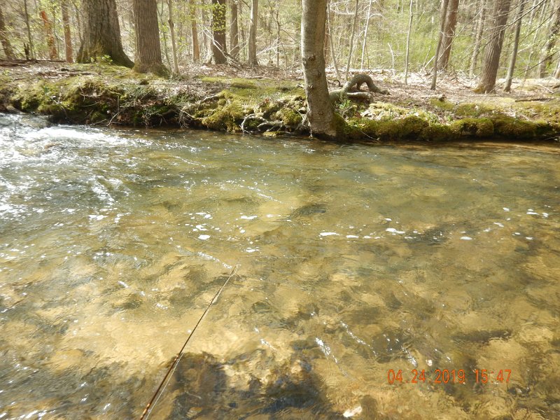 $FowlersHollowStatePark065$.jpg