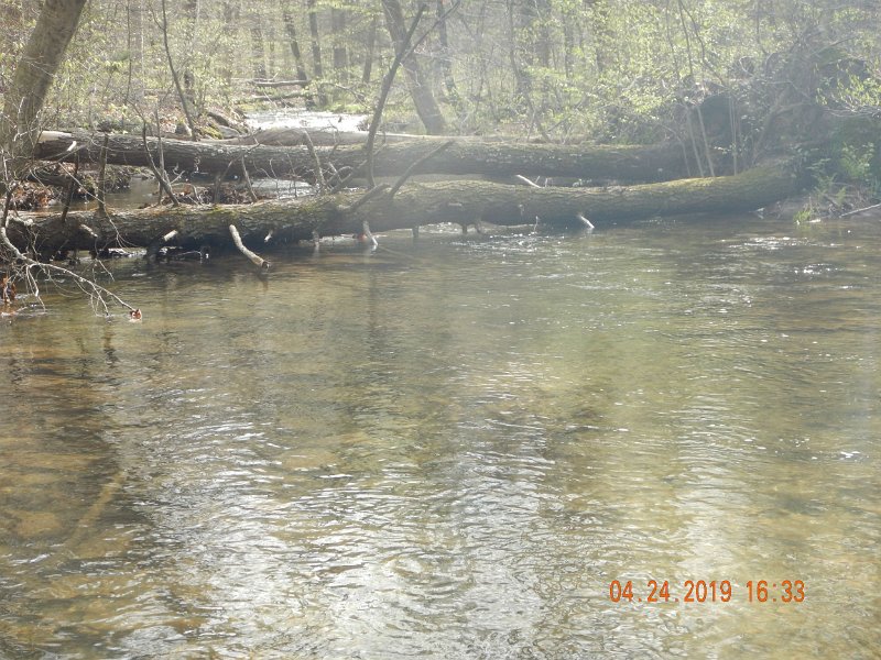$FowlersHollowStatePark070$.jpg
