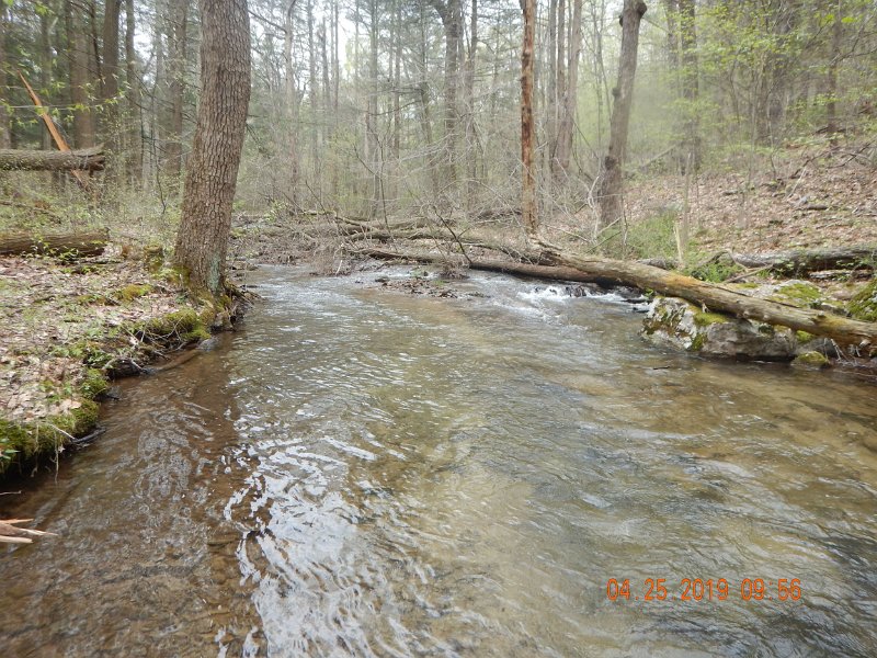 $FowlersHollowStatePark074$.jpg