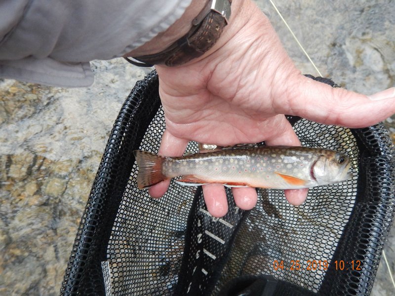 $FowlersHollowStatePark075$.jpg