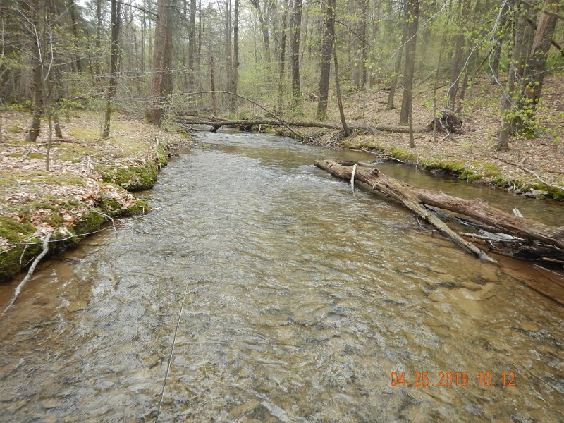 $FowlersHollowStatePark076$.jpg