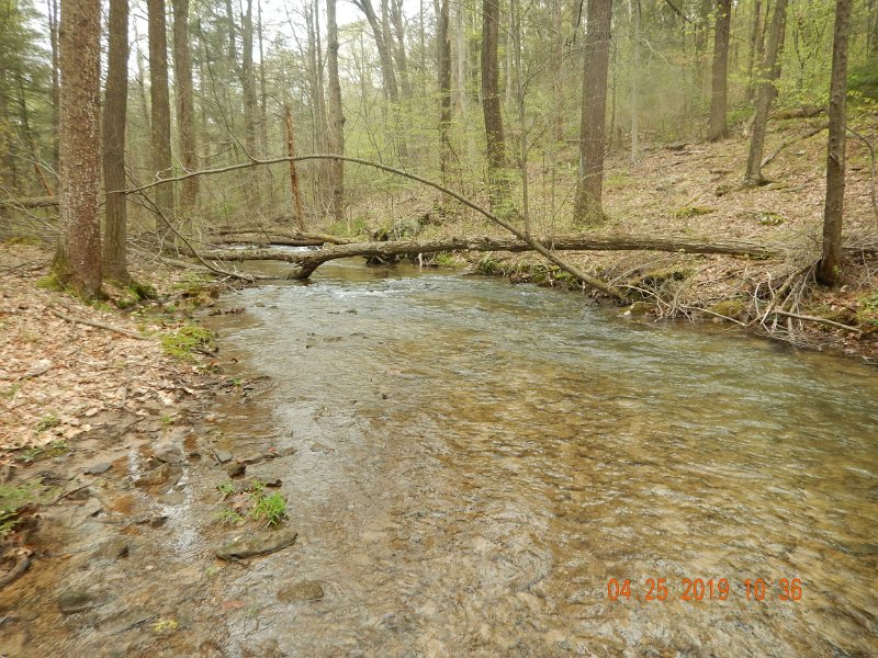 $FowlersHollowStatePark080$.jpg