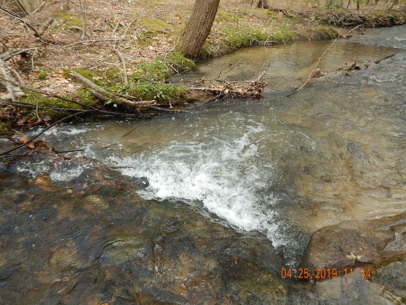 $FowlersHollowStatePark082$.jpg