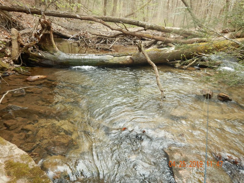 $FowlersHollowStatePark084$.jpg