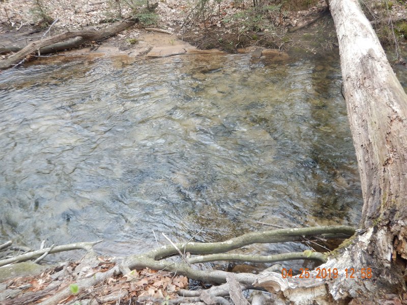 $FowlersHollowStatePark088$.jpg