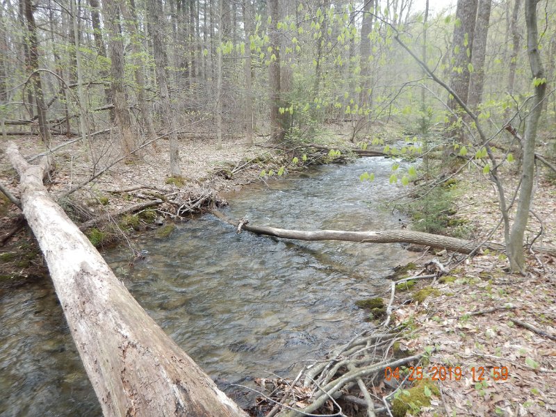 $FowlersHollowStatePark089$.jpg
