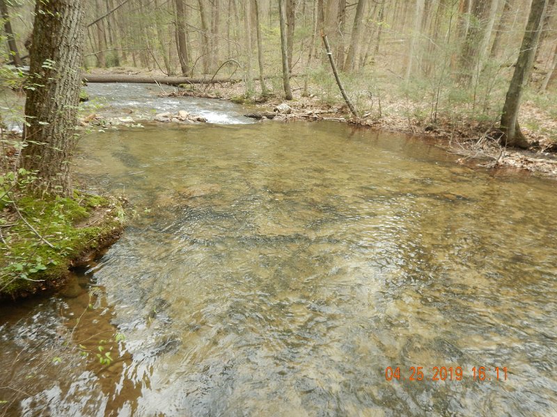 $FowlersHollowStatePark092$.jpg