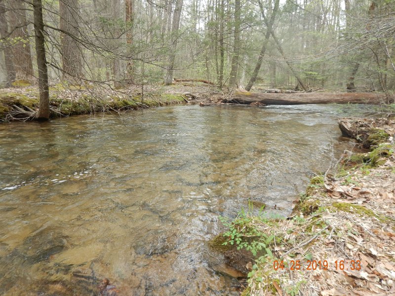 $FowlersHollowStatePark094$.jpg