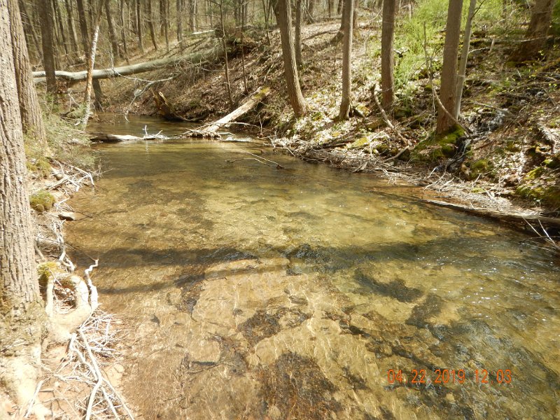 $FowlersHollowStatePark100$.jpg