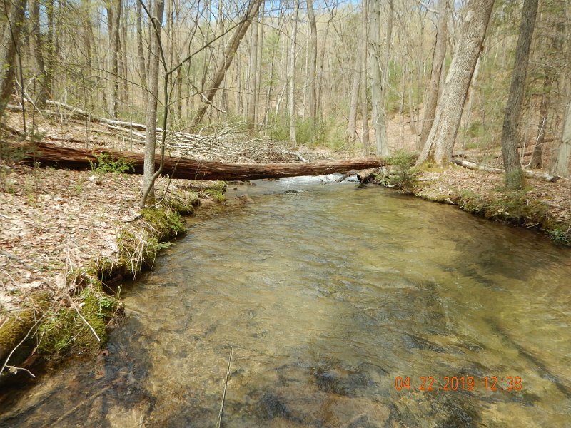 $FowlersHollowStatePark103$.jpg