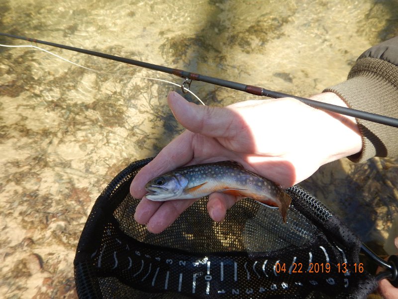 $FowlersHollowStatePark113$.jpg