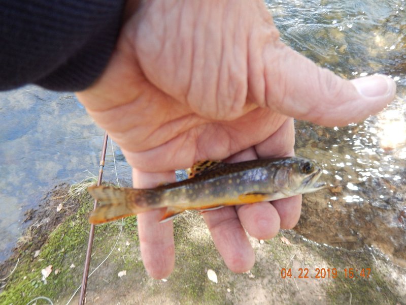 $FowlersHollowStatePark117$.jpg
