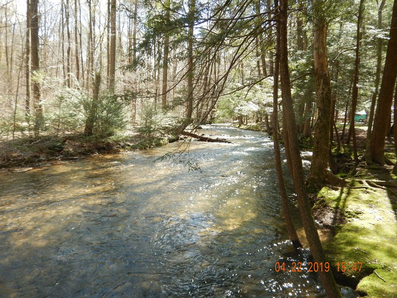 $FowlersHollowStatePark119$.jpg