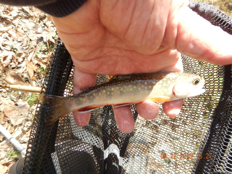 $FowlersHollowStatePark120$.jpg