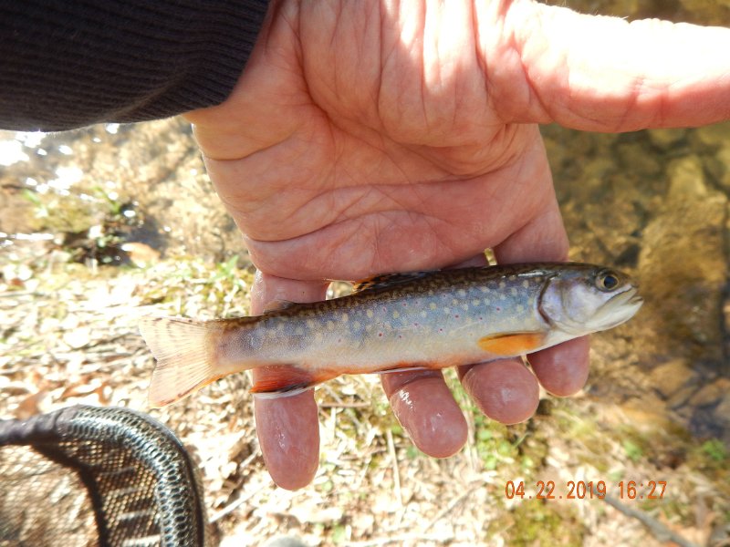 $FowlersHollowStatePark121$.jpg