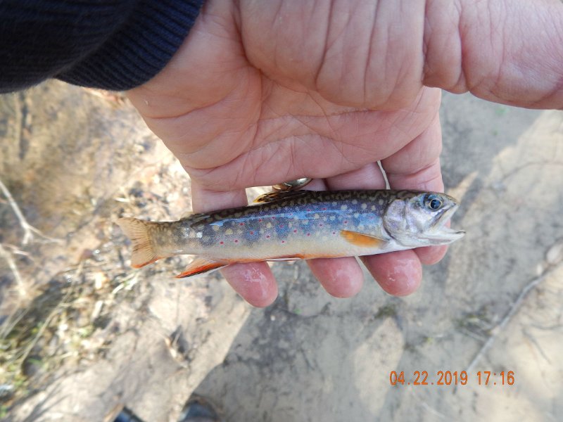 $FowlersHollowStatePark124$.jpg