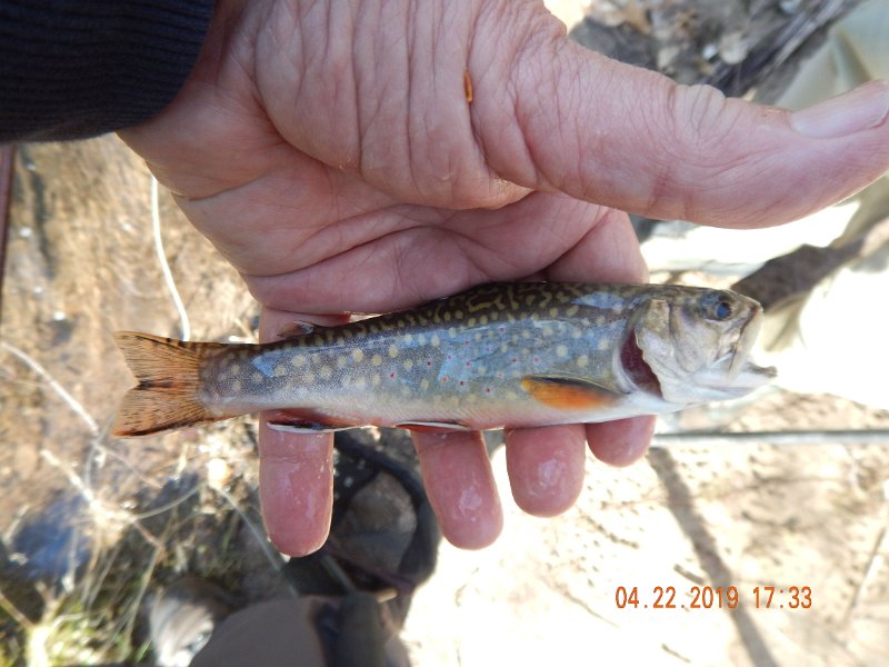 $FowlersHollowStatePark128$.jpg